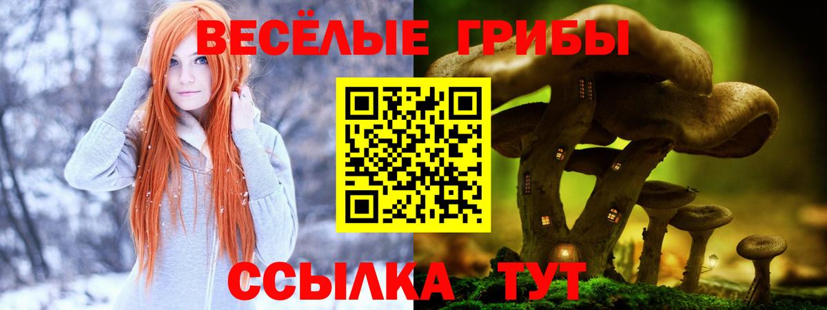 Верхний Уфалей  Галлюциногенные грибы прущие грибы  Вход с VPN 